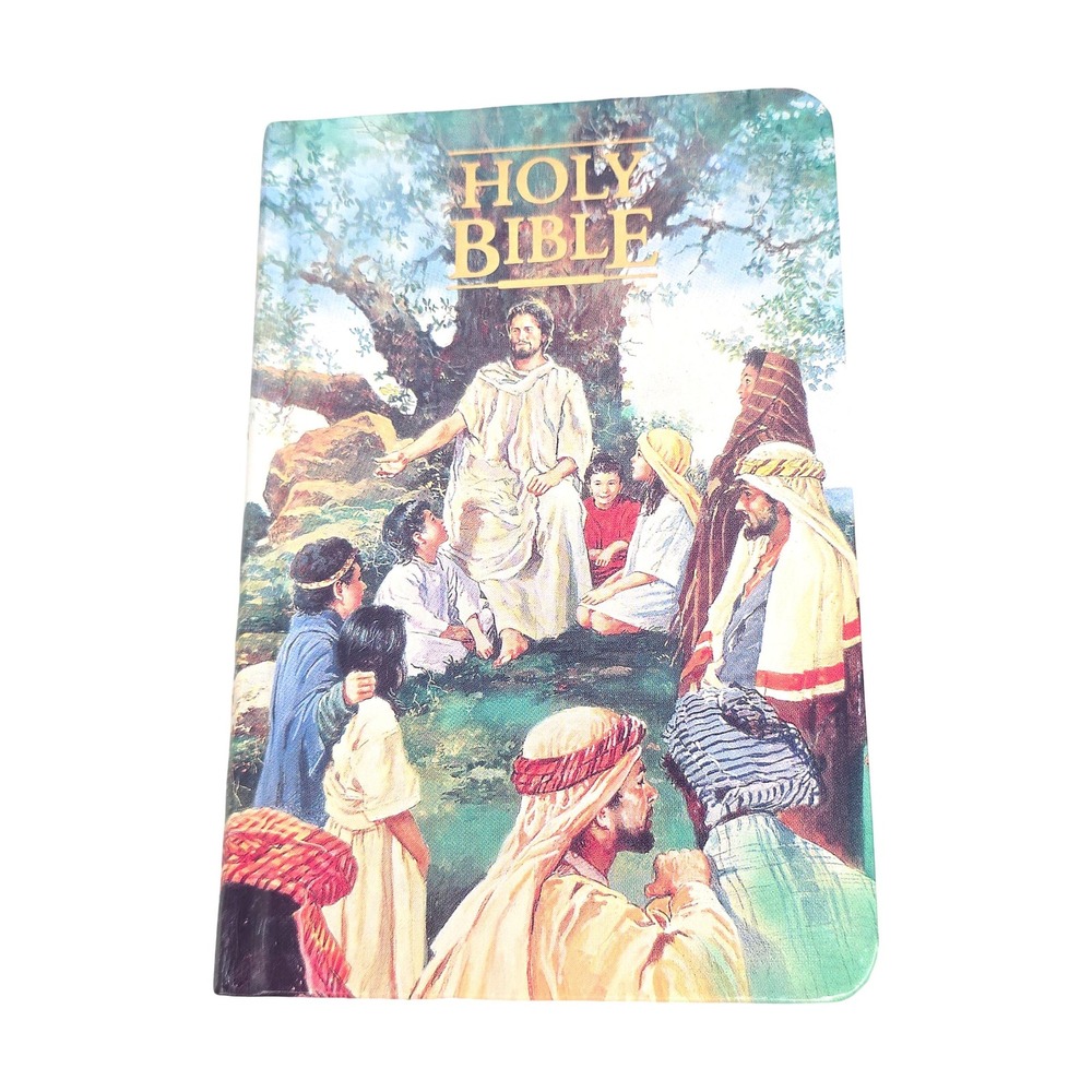 Thomas Nelson Seaside Bible for Children KJV 1987 Illustrated Slipcase Excellent - Picture 2 of 16